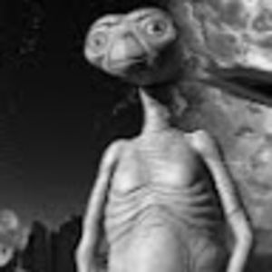 Meet your Posher, Luke